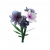 蝴蝶兰.png