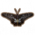 燕尾蝶.png