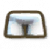 白色短裤.png