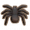 漏斗网蛛.png