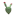 仙人掌.png