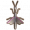 紫翅螳螂.png