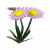 粉色纸雏菊.png