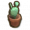 仙人掌盆栽.png
