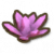 粉色珊瑚.png