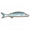 梭鱼.png