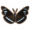 普通乌鸦蝴蝶.png