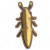 桉叶蚱蜢.png