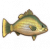黄金鲈鱼.png