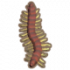 蜈蚣.png