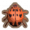瓢虫.png
