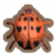 瓢虫.png