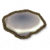 乳牛肝菌凳子.png