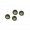 冷杉草籽.png