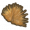 鬣刺簇绒.png