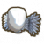 巨型羽毛翅膀.png
