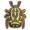 提琴手甲虫.png