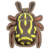 提琴手甲虫.png