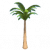 棕榈树.png