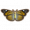 小红峡蝶.png