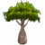瓶子树.png