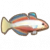 扁头黄黝魚.png