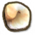 鹑螺.png