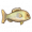 鲤鱼.png