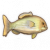 鲤鱼.png