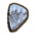 变异鳞片.png