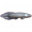 肺鱼.png