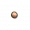 灌木种子.png