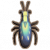 虎甲虫.png