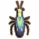 虎甲虫.png