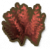 红色海藻.png