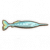腭针鱼.png