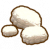 剃毛好手.png