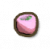 澳洲赤楠种子.png
