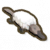 鸭嘴兽哨子.png