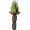 草树.png