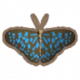 蓝色虎斑蝶.png