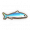鳀鱼.png