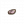 瓶子树种子.png