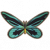 鸟翼蝶.png