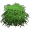 灌木.png
