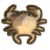 内陆蟹.png