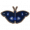 幻紫斑峡蝶.png