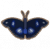 幻紫斑峡蝶.png