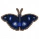 幻紫斑峡蝶.png