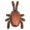 蟑螂.png